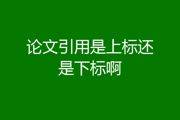 论文引用是上标还是下标啊