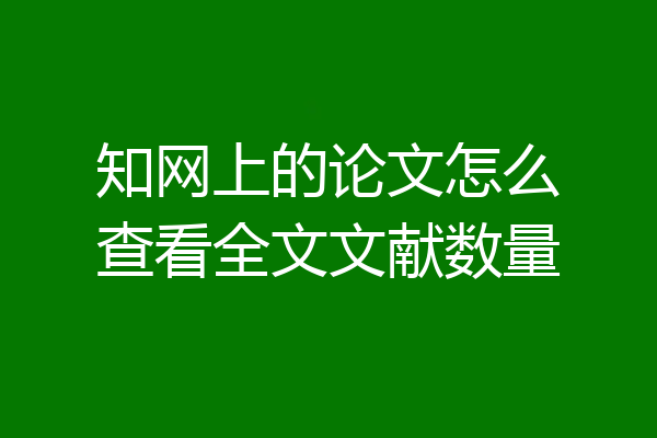 知网上的论文怎么查看全文文献数量