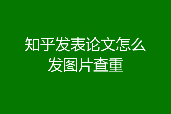 知乎发表论文怎么发图片查重