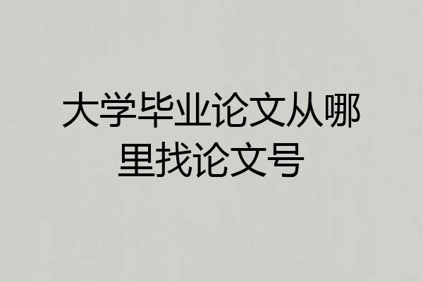 大学毕业论文从哪里找论文号