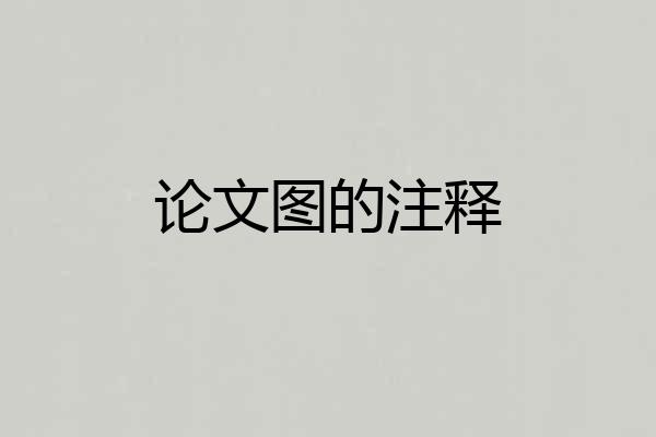 论文图的注释