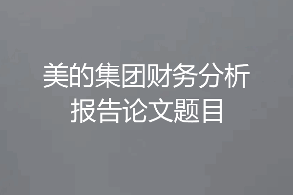 美的集团财务分析报告论文题目