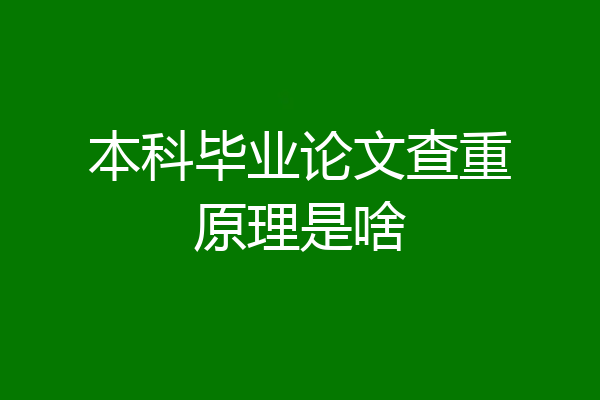 本科毕业论文查重原理是啥