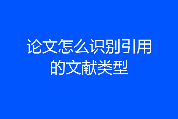 论文怎么识别引用的文献类型