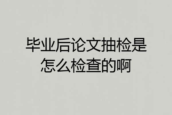 毕业后论文抽检是怎么检查的啊