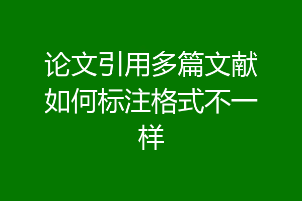 论文引用多篇文献如何标注格式不一样