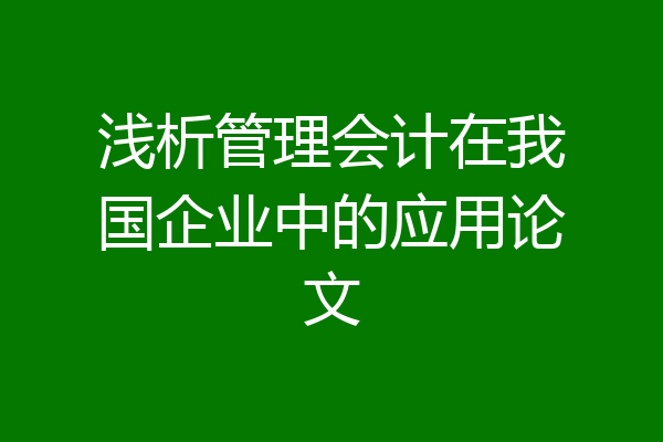 浅析管理会计在我国企业中的应用论文