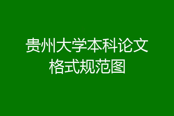 贵州大学本科论文格式规范图