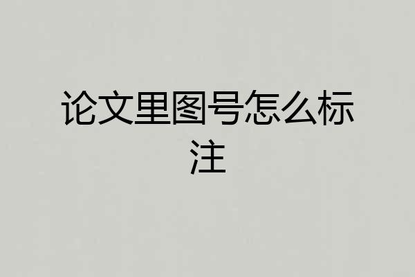 论文里图号怎么标注