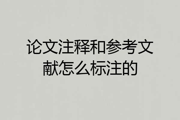 论文注释和参考文献怎么标注的