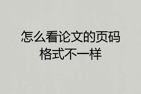 怎么看论文的页码格式不一样