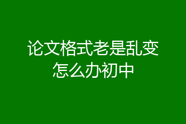 论文格式老是乱变怎么办初中