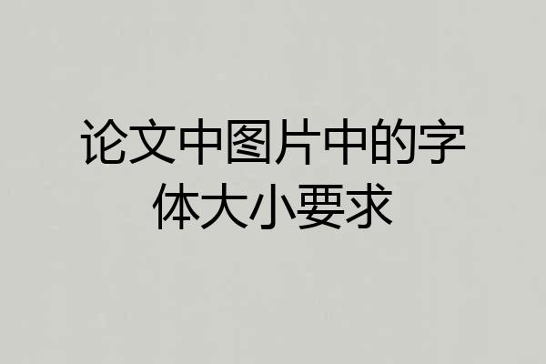 论文中图片中的字体大小要求