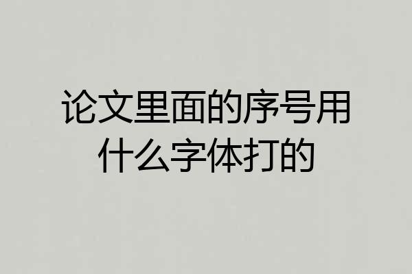 论文里面的序号用什么字体打的