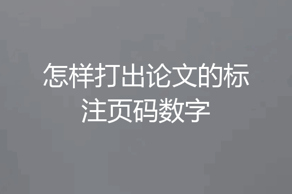 怎样打出论文的标注页码数字