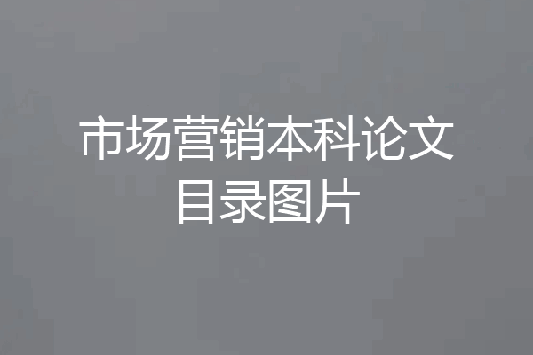 市场营销本科论文目录图片