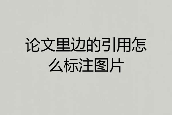 论文里边的引用怎么标注图片