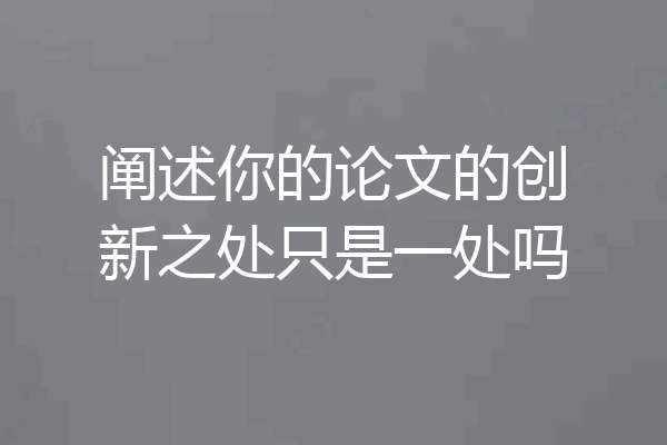 阐述你的论文的创新之处只是一处吗