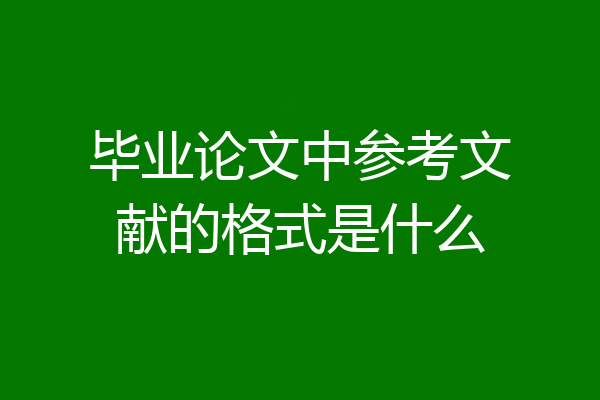 毕业论文中参考文献的格式是什么
