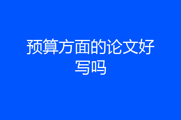 预算方面的论文好写吗