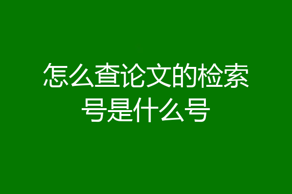 怎么查论文的检索号是什么号
