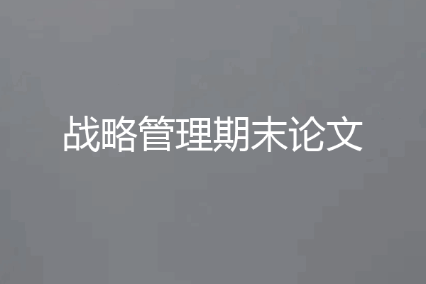 战略管理期末论文