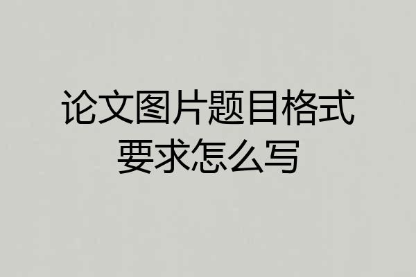 论文图片题目格式要求怎么写