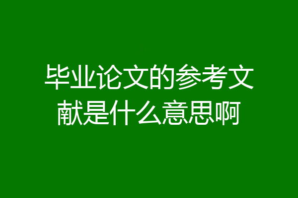 毕业论文的参考文献是什么意思啊