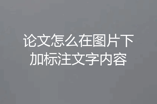 论文怎么在图片下加标注文字内容
