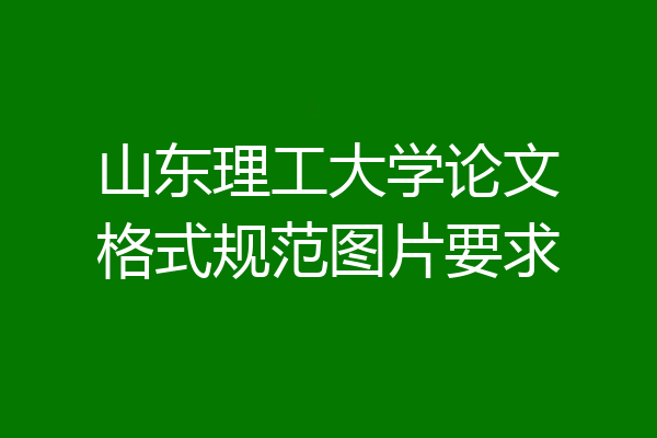 山东理工大学论文格式规范图片要求