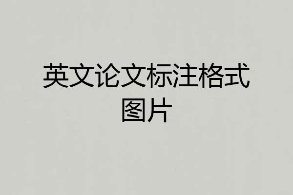 英文论文标注格式图片