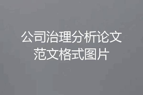 公司治理分析论文范文格式图片