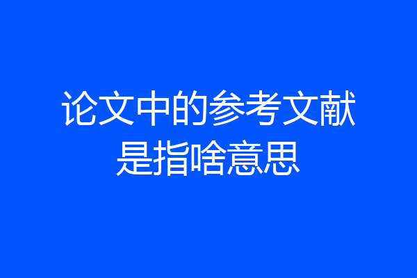 论文中的参考文献是指啥意思