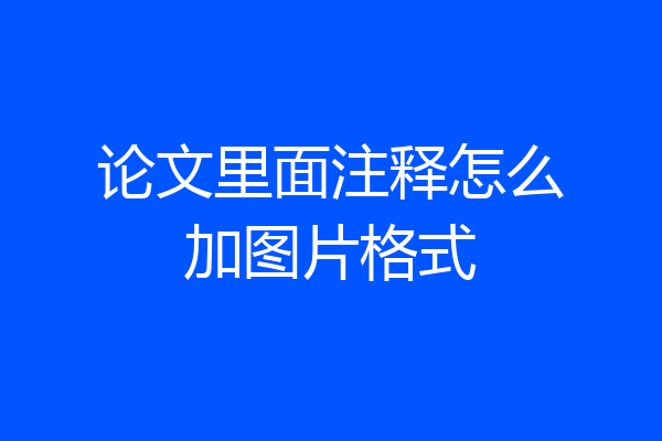 论文里面注释怎么加图片格式