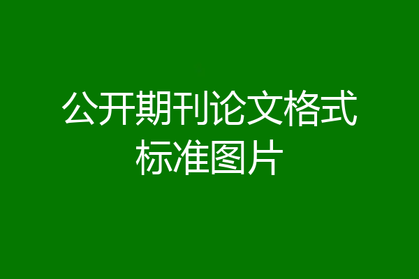 公开期刊论文格式标准图片