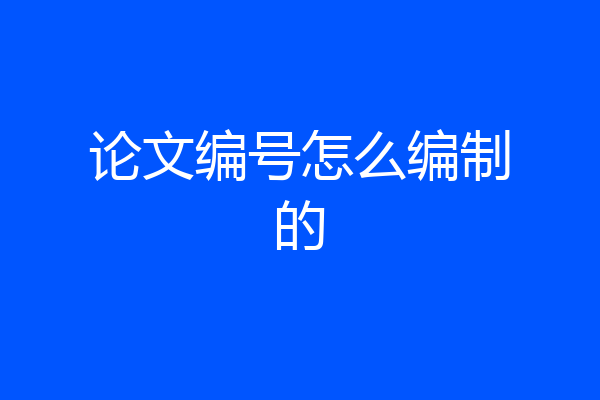 论文编号怎么编制的