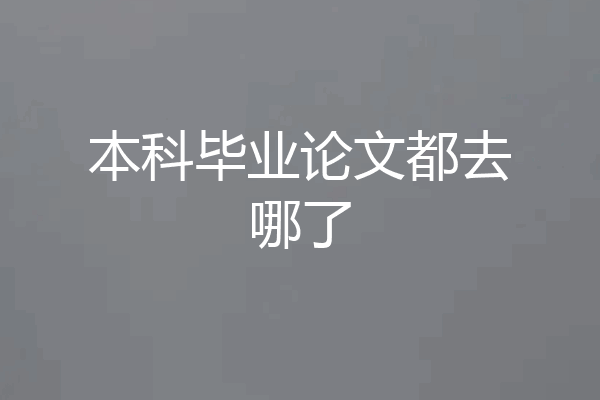 本科毕业论文都去哪了