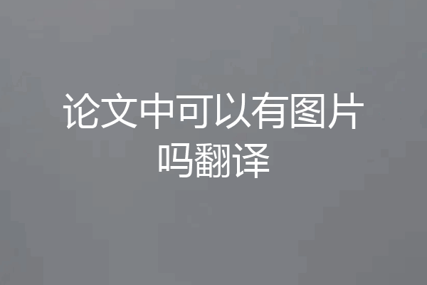 论文中可以有图片吗翻译