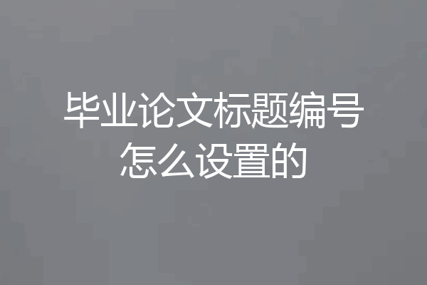 毕业论文标题编号怎么设置的
