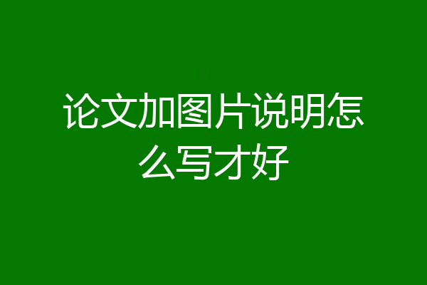 论文加图片说明怎么写才好