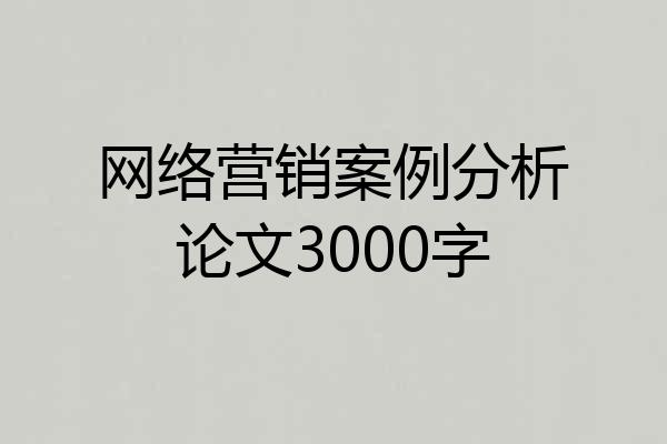 网络营销案例分析论文3000字