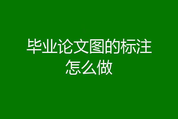 毕业论文图的标注怎么做