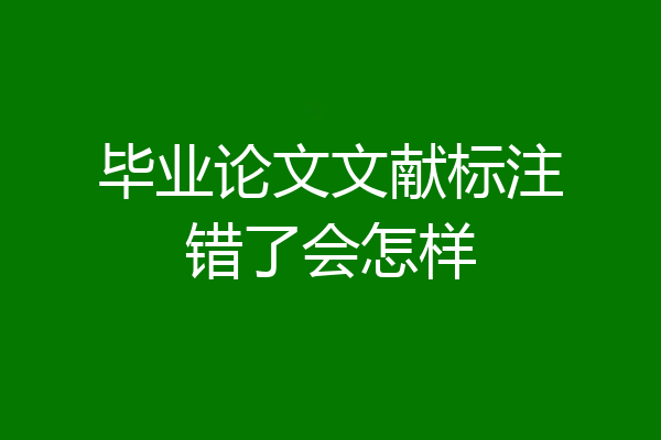 毕业论文文献标注错了会怎样