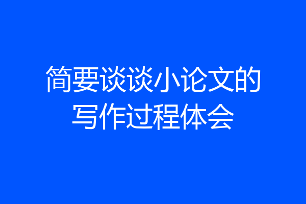 简要谈谈小论文的写作过程体会