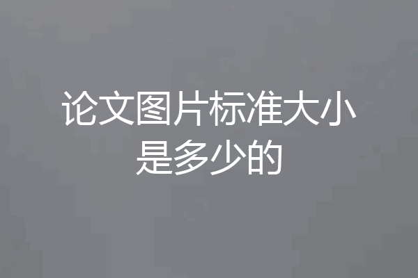 论文图片标准大小是多少的
