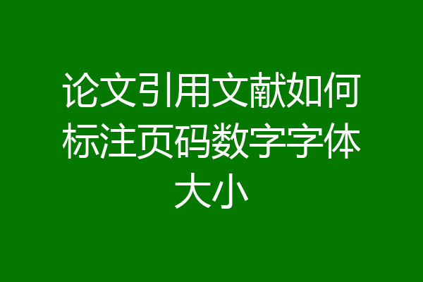 论文引用文献如何标注页码数字字体大小