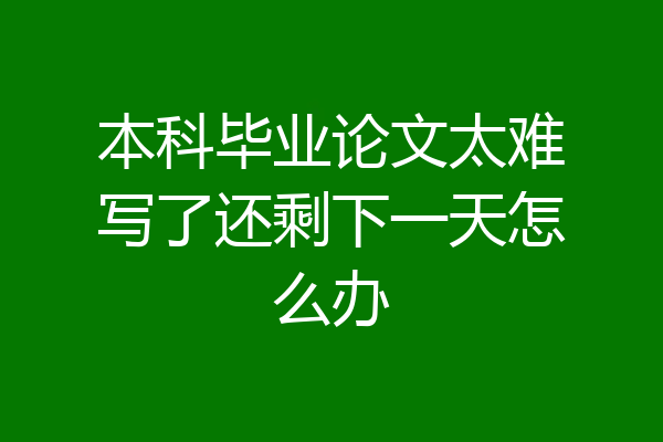 本科毕业论文太难写了还剩下一天怎么办