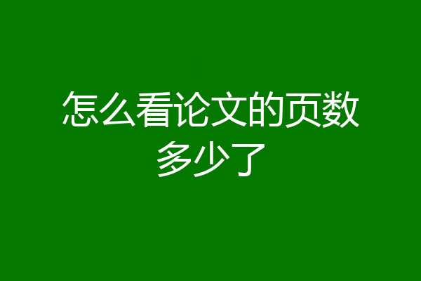 怎么看论文的页数多少了