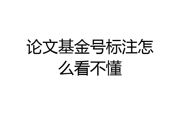 论文基金号标注怎么看不懂