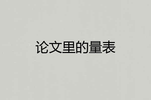 论文里的量表